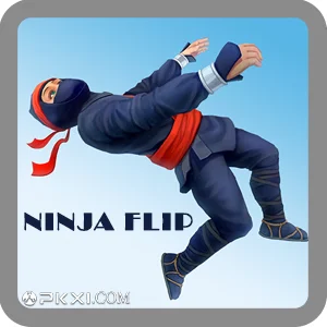 Ninja Flip 1 1686651464 Ninja Flip