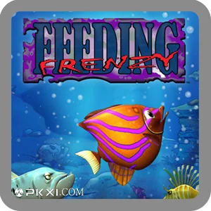 Fish Feeding Frenzy 1689558505 Fish Feeding Frenzy